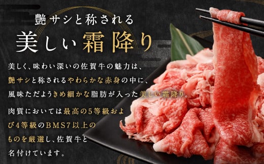 訳あり 佐賀牛 切り落とし 500g