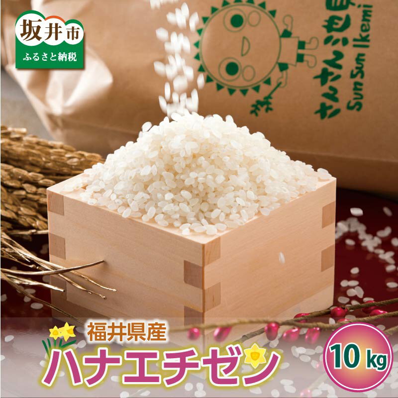 【ふるさと納税】【令和7年産・新米】さんさん池見二代目の 福井県産 ハナエチゼン 10kg　米 お米 10キロ