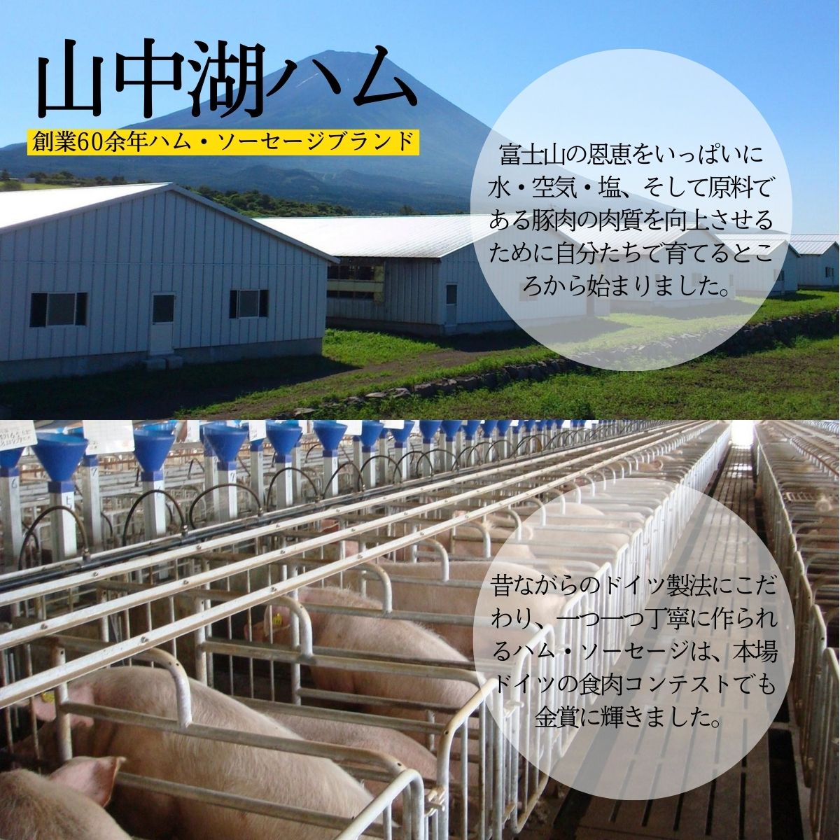 絶品ソーセージウインナー800g ／保存料 化学調味料 無添加 山中湖ハム 詰め合わせ ギフト ドイツ 金賞 冷凍 豚 山梨県【n0358_mar】