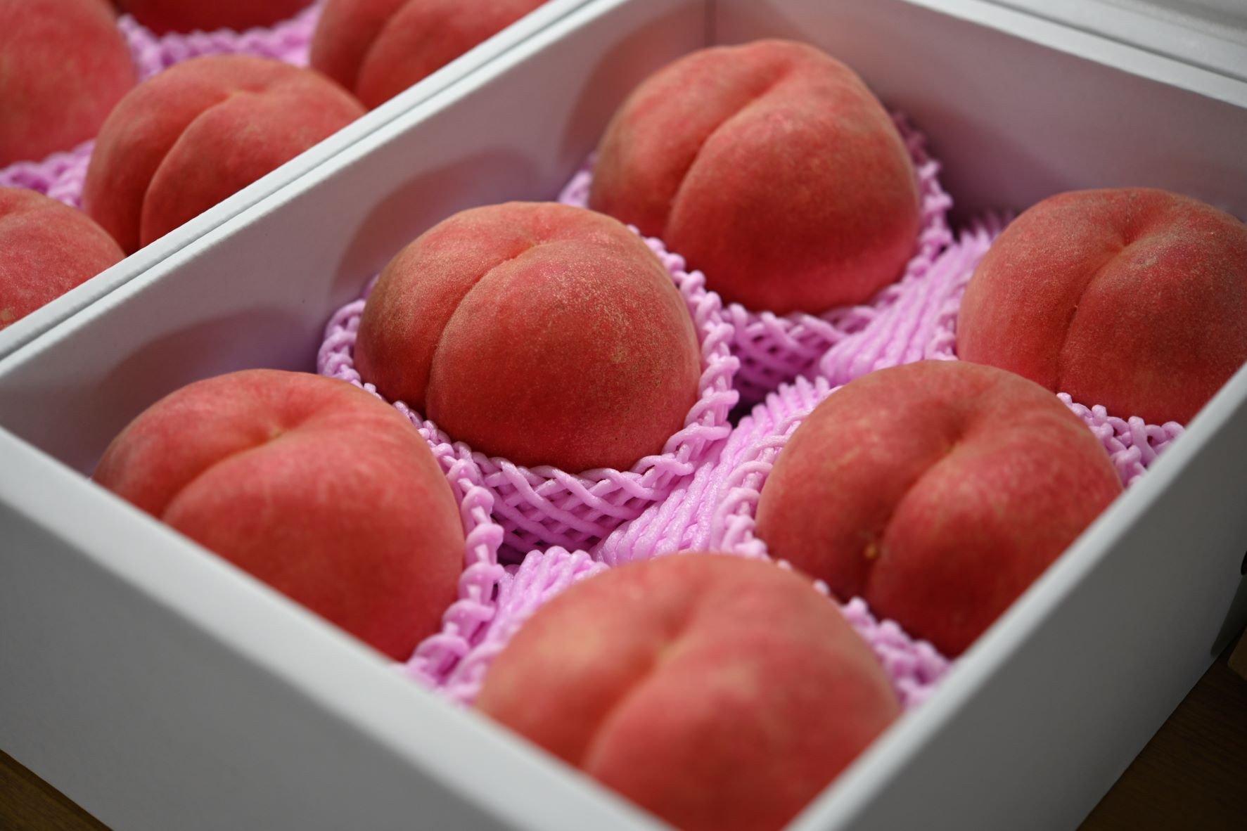 
            08-07-005　もも(さくら)3kg
          