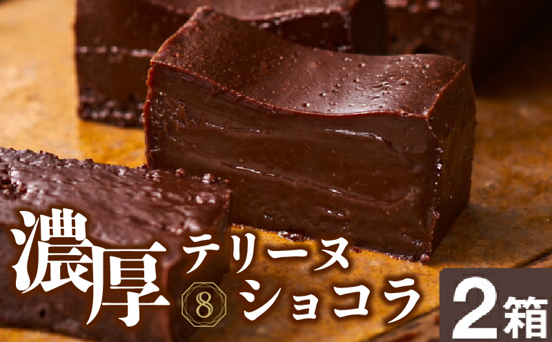 オクタス テリーヌショコラ 2箱