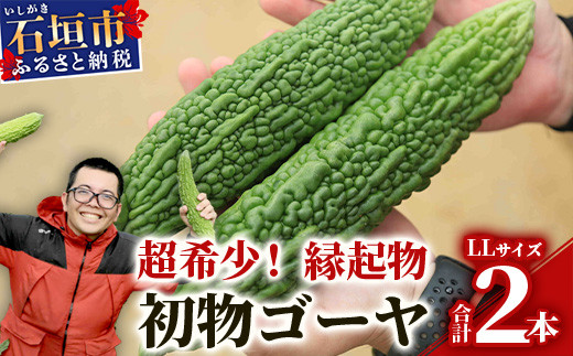 【予約受付】「最優秀賞」受賞の農家！希少品！贈答用「初物ゴーヤ」《2027年1月～2027年4月まで順次発送》【 ふるさと納税 沖縄県石垣市 沖縄 石垣 石垣島 希少 贈答 初物 ゴーヤ 離島のいいもの 沖縄いいもの石垣島 】OI-1