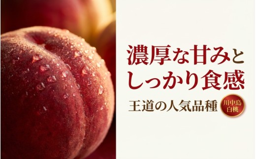 【川中島白桃】濃厚な甘みとしっかり食感 約2.5kg（7～10玉）岩手県平泉町 大文字りんご園【dma501-kw】