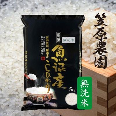 ふるさと納税 南魚沼市 【毎月定期便】南魚沼産コシヒカリ　無洗米　5kg全6回