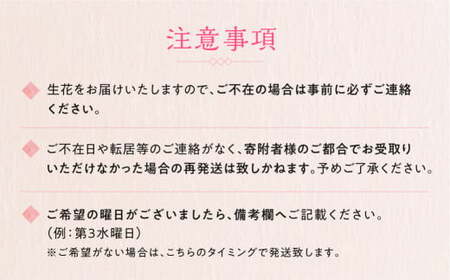 【定期便】 3回 季節のフラワーアレンジメント定期便 かご付 生花
