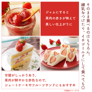 【3月発送】紅ほっぺ／270ag×4パック（4パック入り1箱）