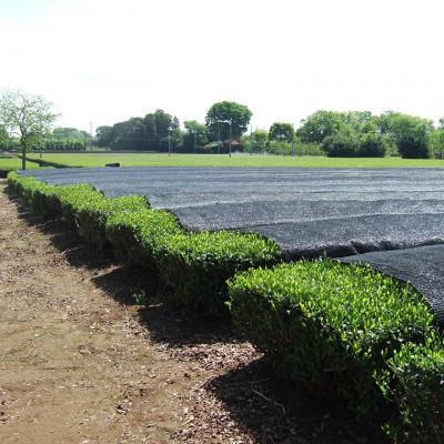 ふるさと納税 牛久市 牛久産お茶4品詰め合わせ |  | 03