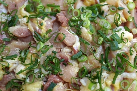 超新鮮！淡海地鶏ねぎ塩