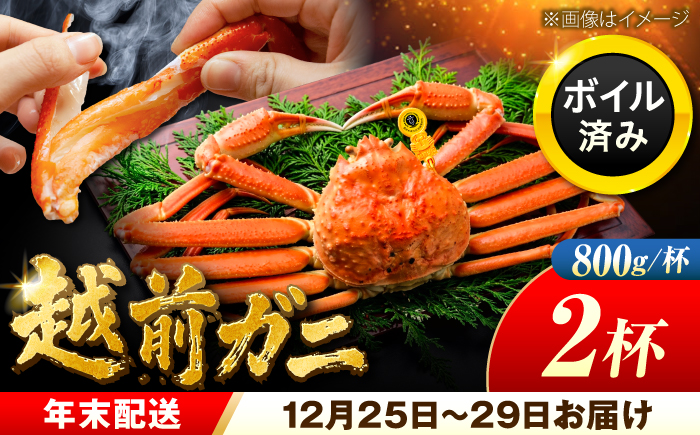 【先行予約/12月25日より順次発送】【年末希望】越前がに 800ｇ×2杯 ズワイガニ ずわいがに ボイル 冷蔵 小浜市 / まるほ商店 【配送不可地域：北海道・沖縄・離島】[BFCS040]