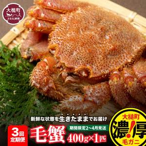 【令和9年発送先行予約】【3回定期便】三陸産 活毛ガニ 400g相当×1杯【08】 【期間限定2027年2月～4月発送】