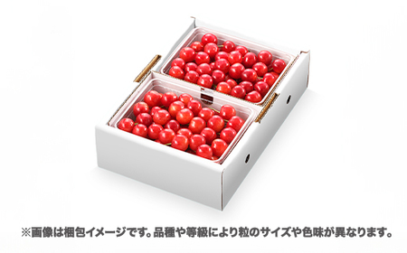 先行予約 さくらんぼ 紅秀峰 1kg(500g×2) Lサイズ以上 秀品 山形県産 バラ詰 令和8年産 2026年産 sb-bsslx1000