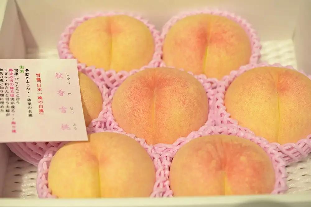 もも 秋香雪桃 大玉 2.5kg フルーツ 果物 山形 桃