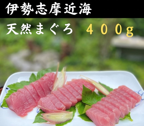 
（冷凍）天然 鮪 キハダ マグロ 約400ｇ 刺身 伊勢志摩 ／ 城水産 ふるさと納税 おすすめ 返礼品 美味しい 魚 新鮮 真空パック 鮪ステーキ 海鮮 お取り寄せ 三重県 南伊勢 鯛の町 迫間浦
