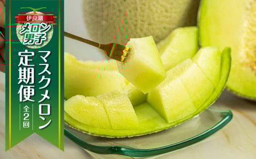 【定期便】先行予約 マスクメロン 2回  伊良湖産 2玉 2Lサイズ 2025年7月スタート