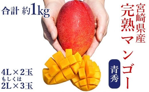 宮崎県産完熟マンゴー[青秀] 合計約1kg（2～3玉）