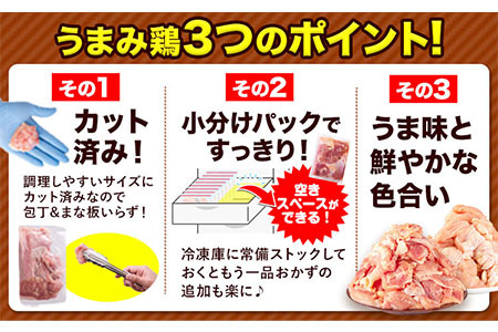 【12ヶ月定期便】うまみ鶏 全パックもも肉セット 1回のお届け 合計3.1kg 合計 約37.2kgお届け 《お申込み月の翌月より出荷開始》カット済 期間限定 鶏肉 もも 若鶏もも肉 冷凍 真空 小分