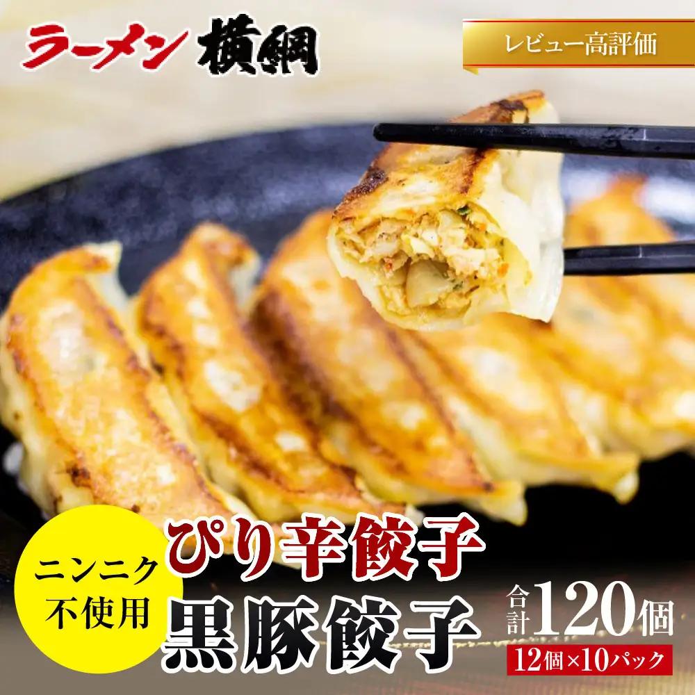 ニンニク不使用 ぴり辛餃子＆黒豚餃子10パック120個セット 京都 小分け 餃子 人気 ラーメン横綱