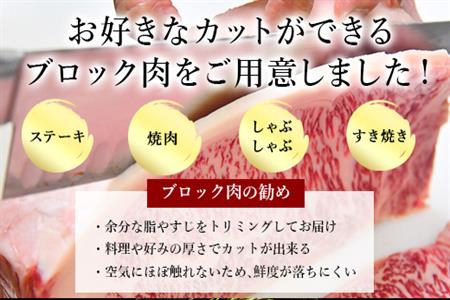 《プロシリーズ》佐賀牛 最上位部位ロースブロック500g 牛肉 ステーキ ローストビーフ かたまり ギフト 黒毛和牛 すき焼き しゃぶしゃぶ 希少部位 焼肉 自宅 BBQ アウトドア