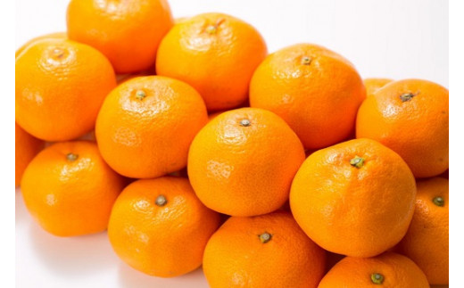 田村みかん 特選ギフト品 3kg サイズおまかせ 赤秀/紀州和歌山有田郡湯浅町田村地区産 ◆2026年11月下旬～2027年1月中旬頃に順次発送予定(お届け日指定不可)　紀伊国屋文左衛門本舗【kstb