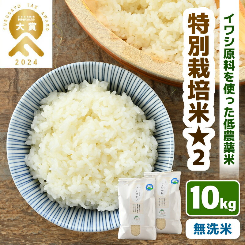 【ふるさと納税】【先行予約】【令和8年産】 特別栽培米 コシヒカリ 無洗米 10kg （5kg×2袋） 低農薬 / 北陸 福井県産 あわら市 ブランド米 白米 お米 コメ 特栽米 ※2026年9月下旬以降順次発送