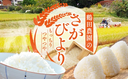 【令和7年産新米】ひとみちゃんちの「さがびより」５kg 数量限定 046-B830