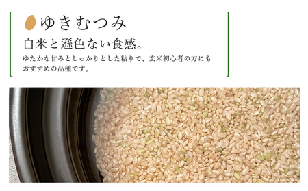 【定期便3カ月】新米発送 玄米「ゆきむつみ2kg」特別栽培米産地直送《帰山農園》 米 こめ 北海道産お米 北海道米 美味しいお米 北海道産米 道産米