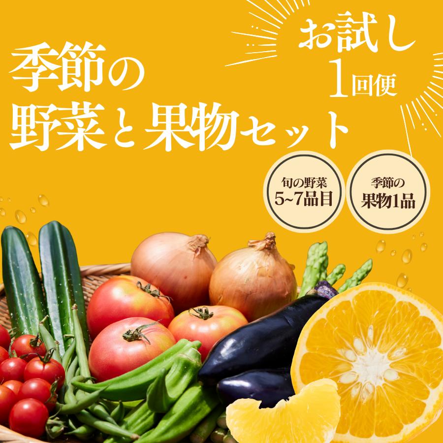 湯の花　季節の野菜と果物セット 【旬 野菜 果物 セット 柑橘 春野菜 夏野菜 秋野菜 冬野菜 人気 】
