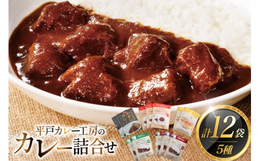 カレー セット カレー 5種 計12袋 セット [カレー工房NVfoods 長崎県 平戸市 hr42bgy400060] カレー スパイス レトルト セット 詰め合わせ 食べ比べ
