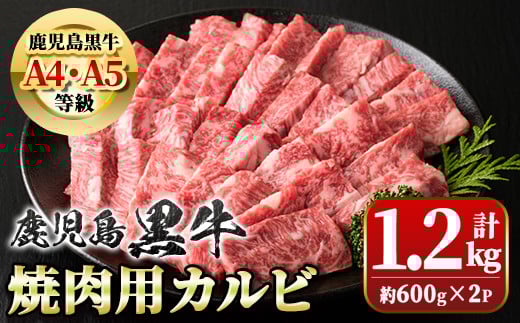 
            B01032 ＜A4・A5等級＞鹿児島黒牛カルビ焼肉用(計約1.2kg・約600g×2)  牛肉専門店自慢のお肉 鹿児島 国産 九州産 牛肉 黒牛 鹿児島黒牛 A4 A5 等級 和牛日本一 お肉 カルビ 焼肉 BBQ バーベキュー ギフト 贈答【新村畜産】
          