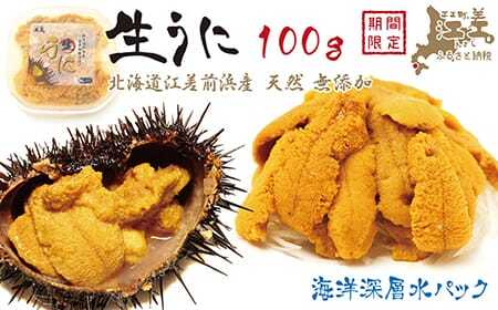 【令和7年】北海道 江差前浜産 生うに 100g【天然・無添加・みょうばん不使用】江差産キタムラサキウニ　日本海熊石産海洋深層水　塩水ウニ　素材を生かした自然の味　国産うに　雲丹　100グラムパック個包装