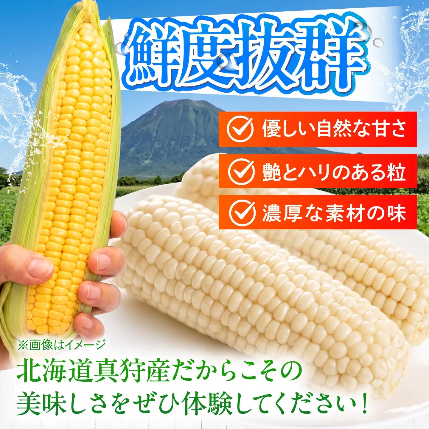 【先行予約】とうもろこし（白・黄） 各5kg [BPAM019] とうもろこし