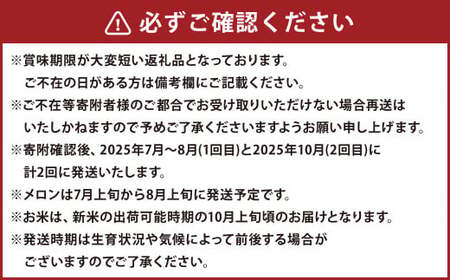 【計2回発送】青赤 メロン 5玉（1玉 1.7kg以上）詰合せとななつぼし 5キロ ゆめぴりか 5キロ | 果物 フルーツ 青肉 赤肉 5玉 米 5kg 【2025年7月上旬～2025年10月上旬発送