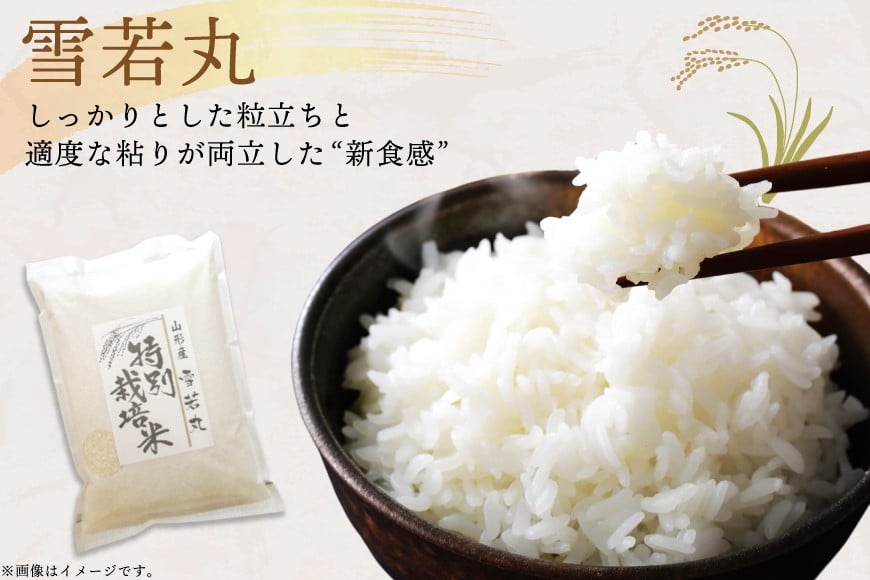 米 令和8年度産 特別栽培米 雪若丸 10kg [渡部ファーム 山形県 高畠町 tk06ays810029] お米 白米 精米 ごはん ご飯 ブランド米