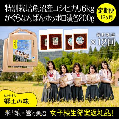 ふるさと納税 十日町市 【毎月定期便】女子高生コラボ!特栽魚沼コシ6kg+かぐらなんばん味噌+ホッポロ漬各200g全12回