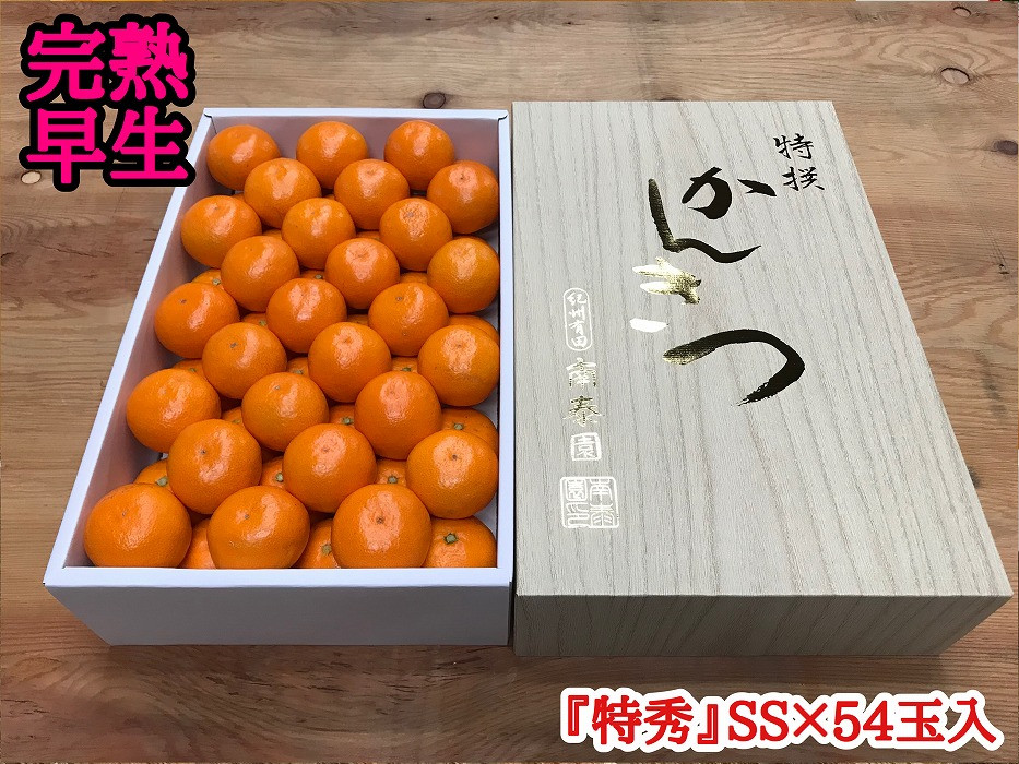 
年内発送 完熟早生 有田みかん 化粧箱 特秀 小玉 SS サイズ 54玉入
