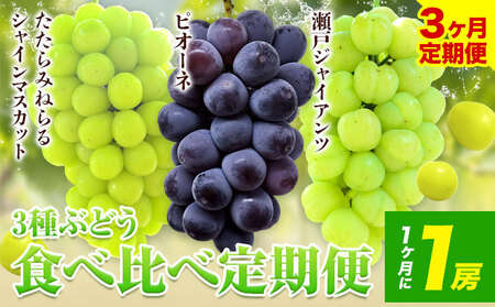 3ヶ月定期便 たたらみねらる食べ比べセット 各1房《8月下旬-10月下旬頃出荷》｜ぶどうぶどうぶどうぶどう