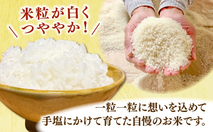 島根県産きぬむすめは5年連続特A評価！米 新米 白米 きぬむすめ 小分け 便利 ごはん お弁当 お取り寄せ 家族 国産 おいしい
