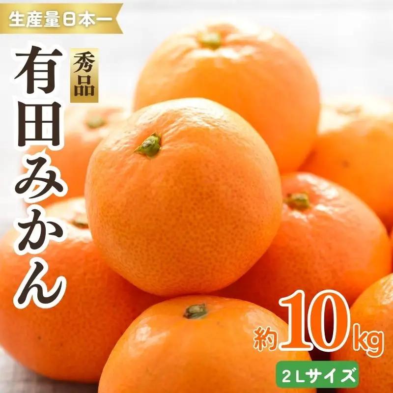 紀州有田みかん 秀品 約10kg　２Lサイズ　※2026年11月下旬頃より順次発送予定【sml129B】
