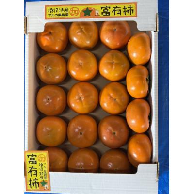 ふるさと納税 豊田市 《先行受付》富有柿　約4kg【2026年11月上旬以降順次発送】 |  | 01