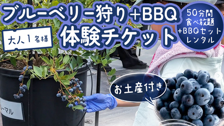 【寄附受付は2025年8月5日まで】 ブルーベリー狩り ＋ DAYキャンプ 体験チケット 《大人１名様プラン レンタルBBQ道具＋お土産付き》 ブルーベリー ベリー 食べ比べ 食べ放題 収穫 収穫体験 キャンプ BBQ バーベキュー 肉 旅行 レンタル 体験 チケット 招待券 レジャー 観光 ふれあい お土産 おみやげ 持ち帰り テイクアウト 多品種 果実 果物 くだもの フルーツ 自然体験 農業体験 茨城県 桜川市 [DZ012sa]