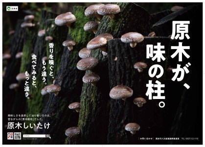 食感も香りもおいしい 乾燥椎茸 袋(小) 中葉(50g入り)×3袋セット