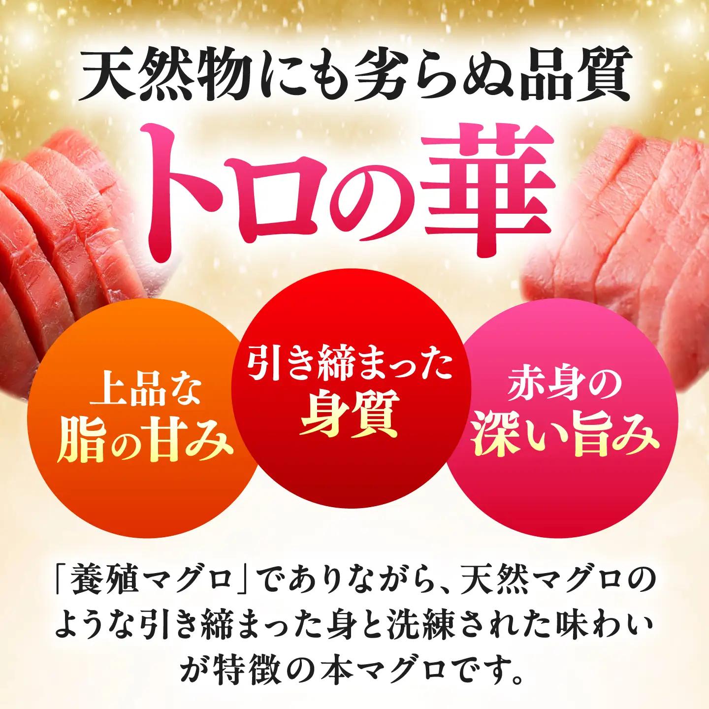 【全12回定期便】対馬産 本マグロ 500g（赤身300g、中トロ200g） トロの華 対馬 新鮮 マグロ トロ 鮪 刺身 [WAQ046]