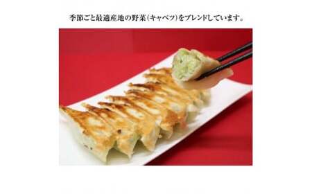 手作り冷凍餃子 50個 (23g×10個入り 5パック)定期便 全3回 餃子 ぎょうざ 手作り おかず おつまみ 人気 グルメ 冷凍 食品 関東 F5K-528