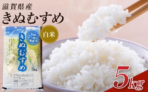 【令和8年産 新米 先行予約】近江米きぬむすめ白米5kg※2026年9月～発送