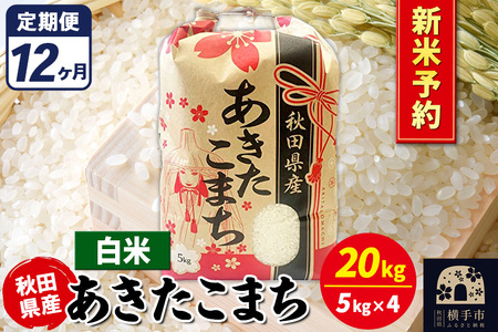 《令和7年産 新米受付》《定期便12ヶ月》あきたこまち 20kg【白米】秋田県産 こまちライン