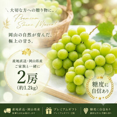 【ふるさと納税】産地直送!【岡山県産・厳選品2房】シャインマスカット(計1.2kg)【配送不可地域：離島】【1754530】