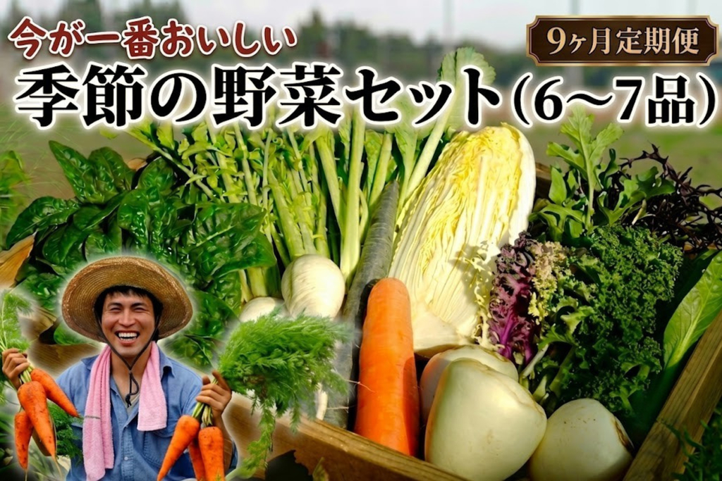 【定期便9回】季節の野菜セット（6～7品） 9ヶ月定期便