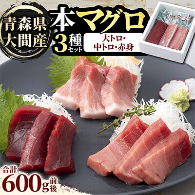 【ふるさと納税】大間産本マグロ 3種セット(大トロ・中トロ・赤身) 合計600g前後【配送不可地域：離島】【1657767】