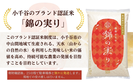 小千谷市 自衛隊 ブルーインパルス 駐車チケット お米セット ｜ ブルー  Blue Impulse 