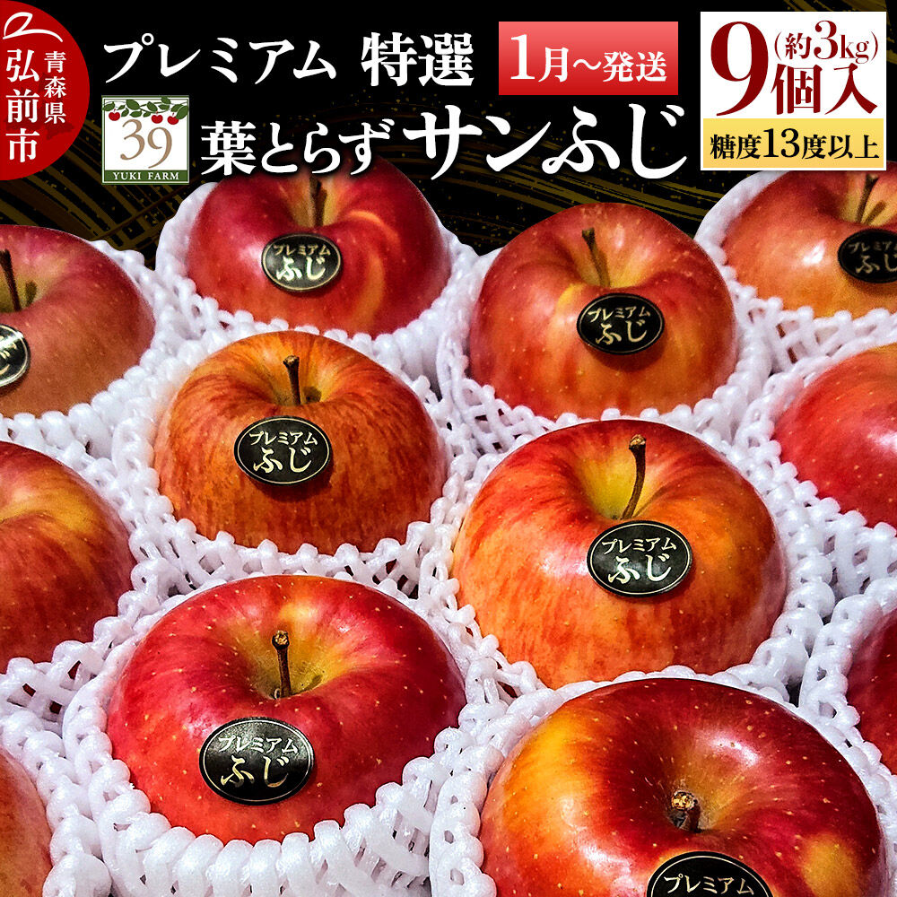 【ふるさと納税】【27年1月〜発送】りんご 葉とらず サンふじ【特選】約3kg（9個）糖度13度以上 プレミアム【数量限定】先行受付 青森県 弘前市 果物 フルーツ 林檎 リンゴ くだもの ギフト 贈り物 [先行予約 産地直送 アップル おいしい 果実]
